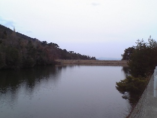 b0095061_919928.jpg