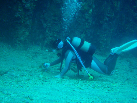 b0062363_19395885.jpg