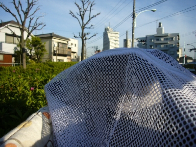 b0069169_2531714.jpg