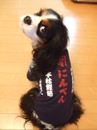 f0030875_22452489.jpg