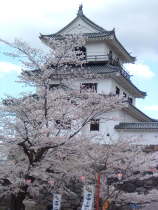 f0128278_8165438.jpg