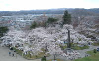 f0128278_8195966.jpg