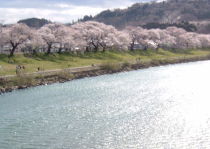 f0128278_8234195.jpg