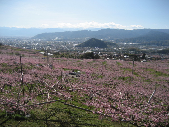 b0032079_8144663.jpg