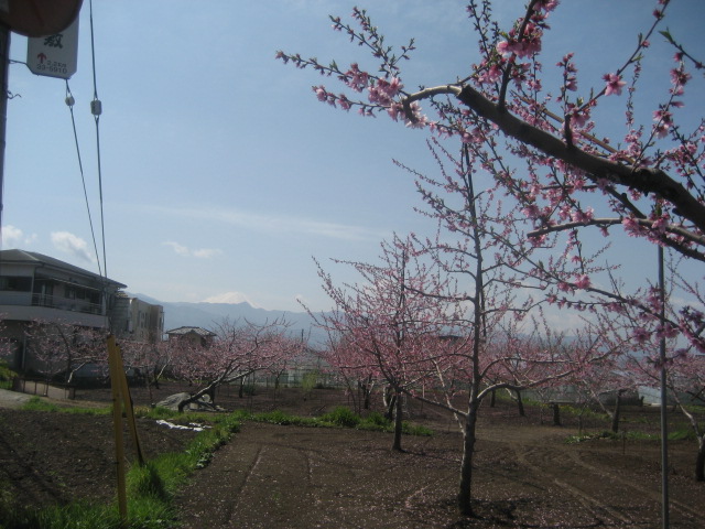 b0032079_85291.jpg