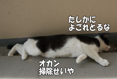 b0041182_17595835.jpg