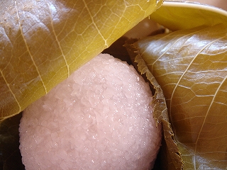 b0093385_16255795.jpg