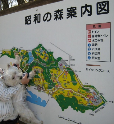 e0110888_22433137.jpg