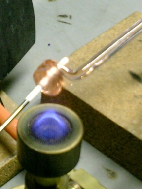 f0079191_2075020.jpg