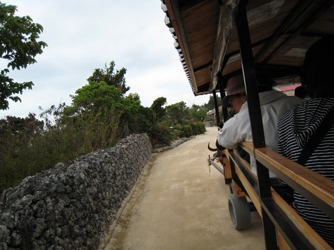 f0093592_22414177.jpg