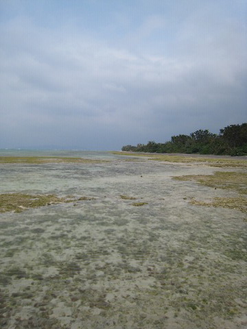 f0093592_22461921.jpg