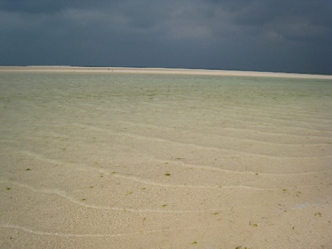 f0093592_22472267.jpg