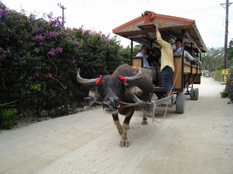 f0093592_2252137.jpg