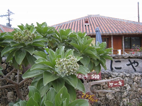 f0093592_2252538.jpg