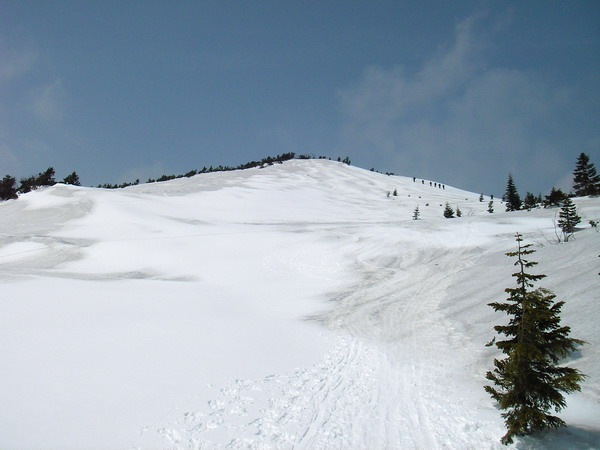 a0043193_2142718.jpg