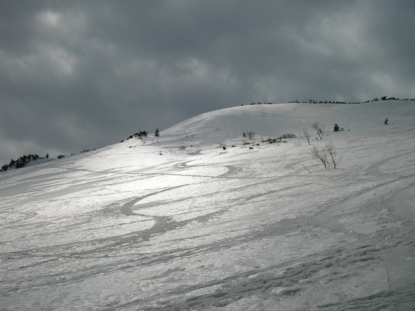a0043193_2152662.jpg