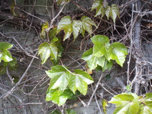 f0130894_20474075.jpg