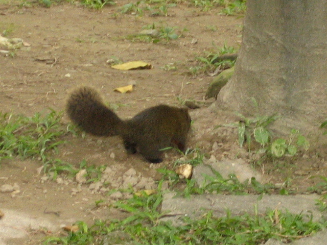 c0079397_20361476.jpg