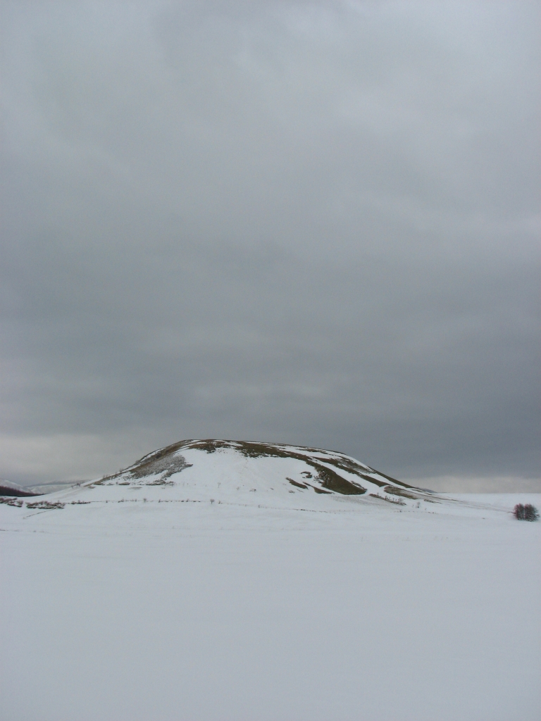 f0020302_19531647.jpg