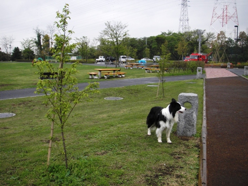 f0034602_18134924.jpg