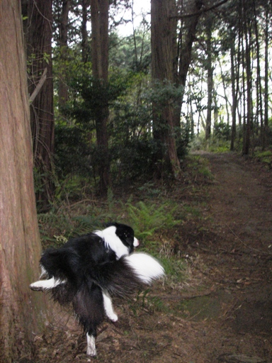 f0034602_1816815.jpg
