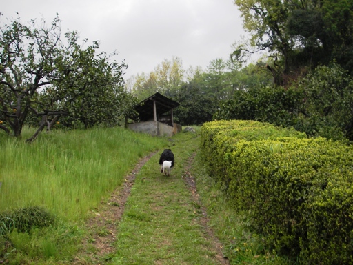f0034602_18192721.jpg