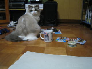 c0024410_22201286.jpg