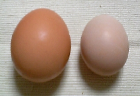 e0089320_2150885.jpg