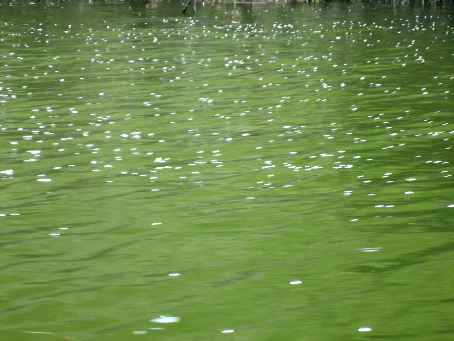 e0108021_11405529.jpg