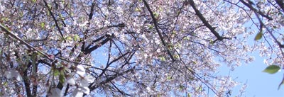 b0034422_23113148.jpg