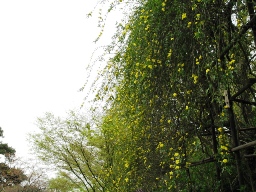 a0043326_22121030.jpg