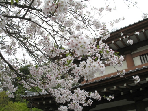 a0043326_229228.jpg