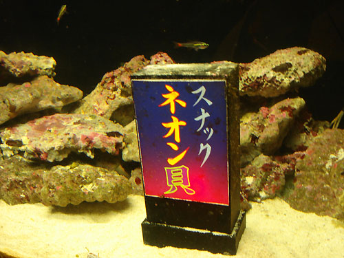 b0044726_105596.jpg