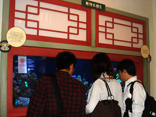 b0044726_951912.jpg