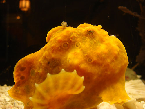 b0044726_959045.jpg