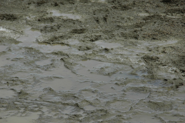 f0136326_958883.jpg