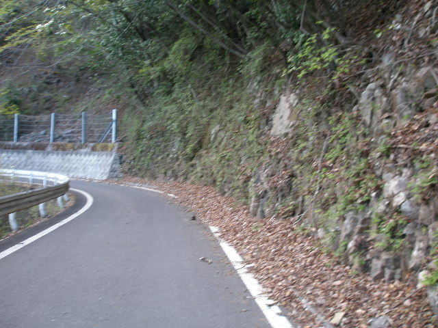 e0065830_19311098.jpg