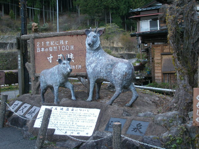 e0065830_20125083.jpg