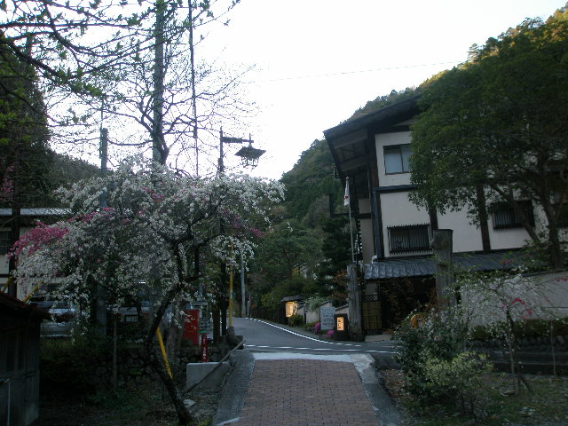 e0065830_2052646.jpg