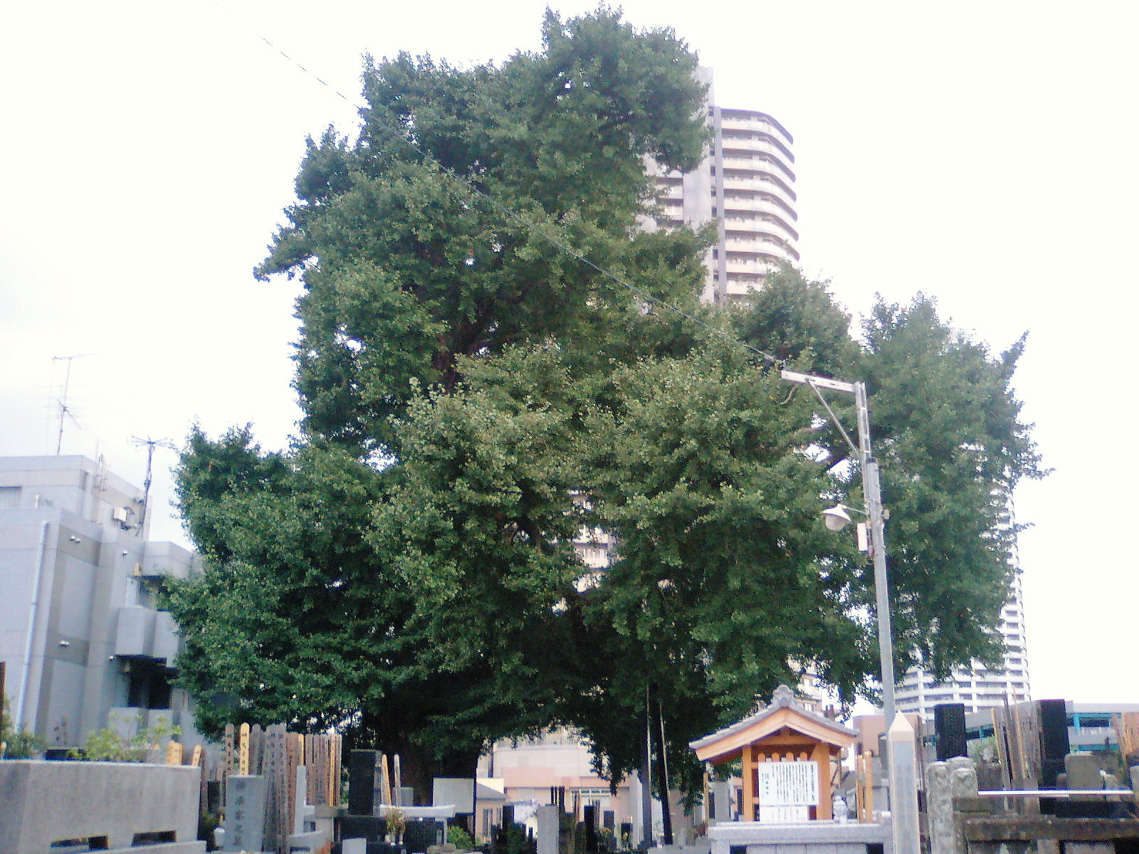 e0091334_19263054.jpg