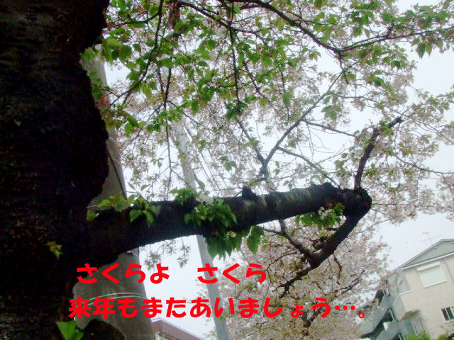 f0059334_9321717.jpg
