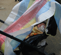 f0047439_17144336.gif