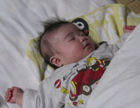 f0047439_1765319.gif
