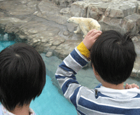 f0047439_1793615.gif