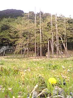 c0069552_182434100.jpg