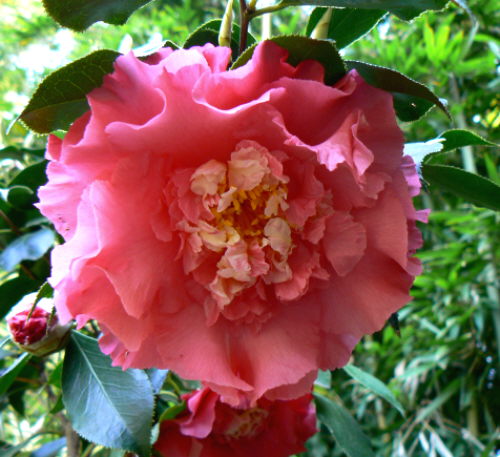 d0091754_19531266.jpg