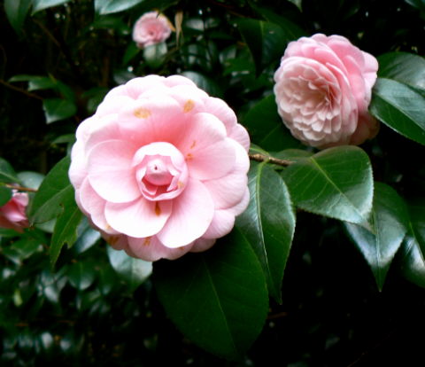d0091754_20151857.jpg
