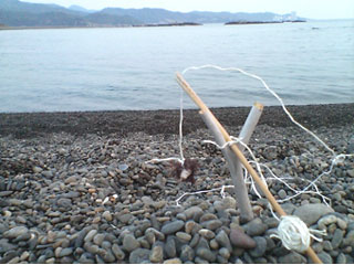 d0058958_8245635.jpg
