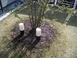c0051759_17354140.jpg