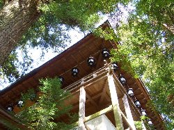 e0098066_1624161.jpg